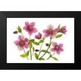 thumbnail image 2 of Parker, Jacky 18x13 Black Modern Framed Museum Art Print Titled - Helleborus x hybridus Tutu, 2 of 5