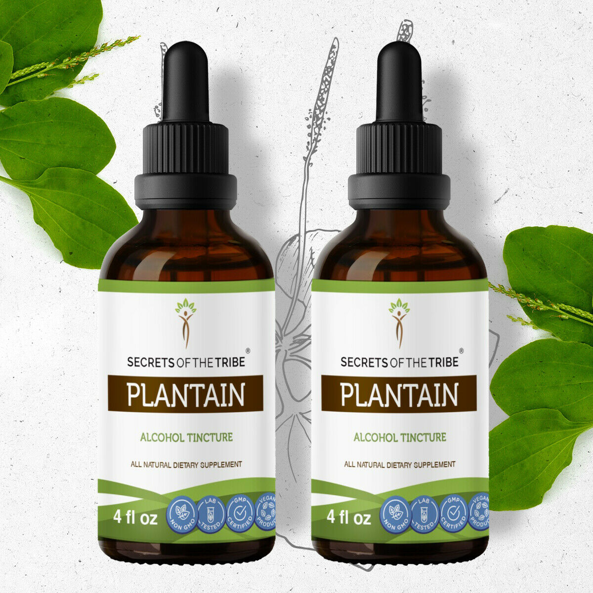 Plantain Tincture Alcohol Extract, Organic Plantain Plantago major