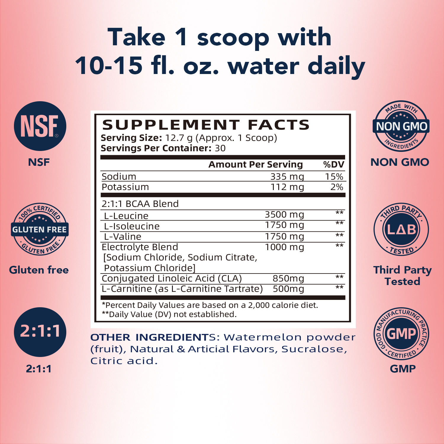 Buy 13.5 oz BCAA LCarnitine Powder Supplement, 30 Servings 7g