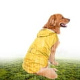 thumbnail image 1 of Sudadera TFixol Amarillo amarillo 6XL, 1 of 8