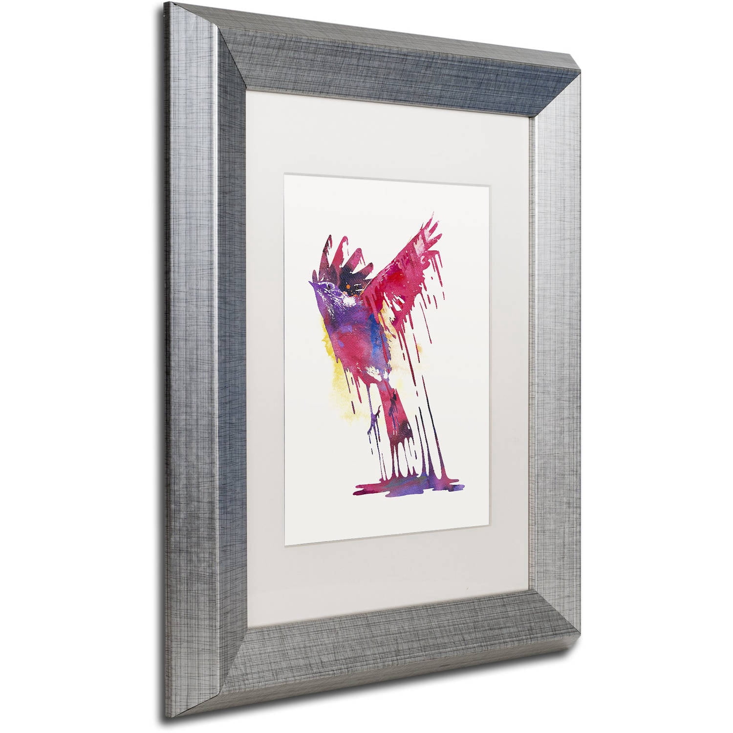 Trademark Fine Art 'The Great Emerge' Canvas Art by Robert Farkas, White Matte, Silver Frame