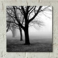 thumbnail image 4 of Epic Art 'Trees' by Photoinc Studio, Acrylic Glass Wall Art, 12"x12", 4 of 8
