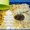 thumbnail image 4 of FELTECHELECTR Plato De Para Reptiles Compacto Y Fácil De Limpiar Para Terrarios En Casa, 4 of 8