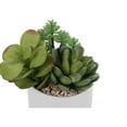 thumbnail image 3 of Monarch Succulent - Artificial plant set - 2 pieces - white pot, green, 3 of 5