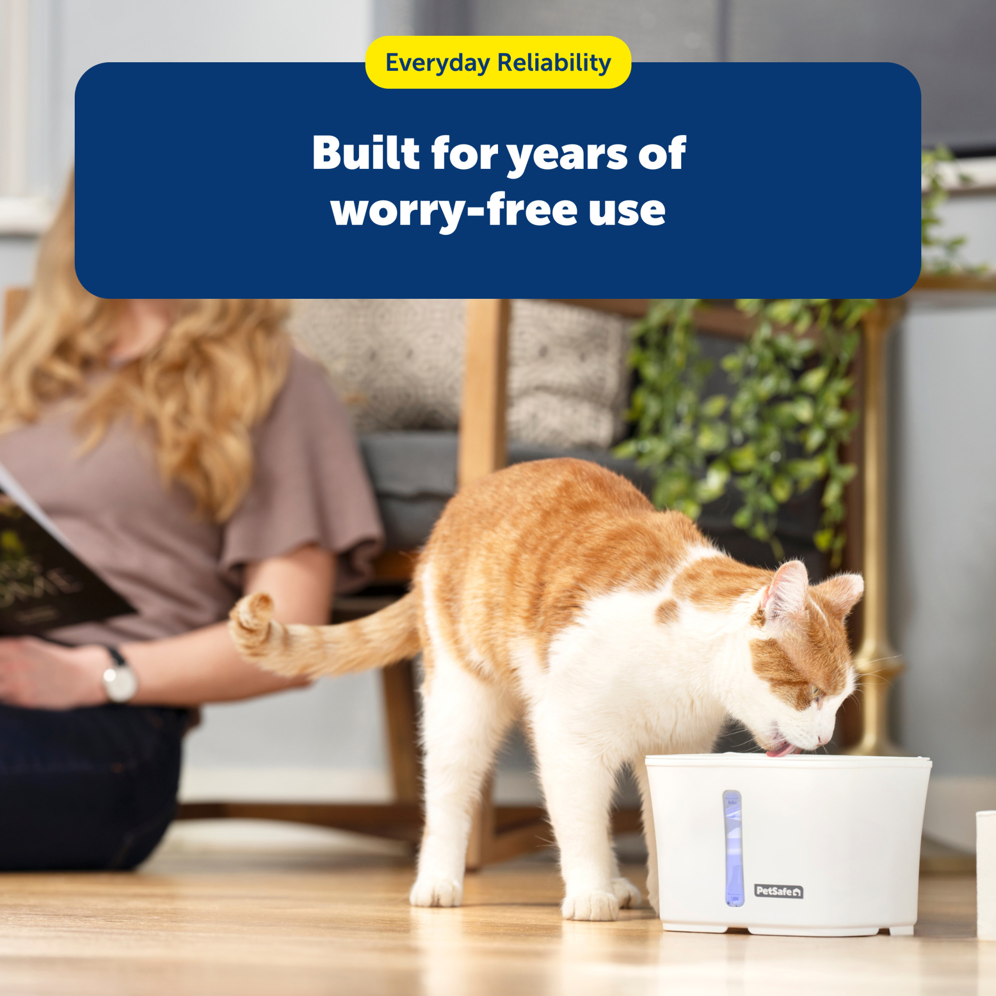 PetSafe Viva Pet Water Fountain for Small Pets photo 7