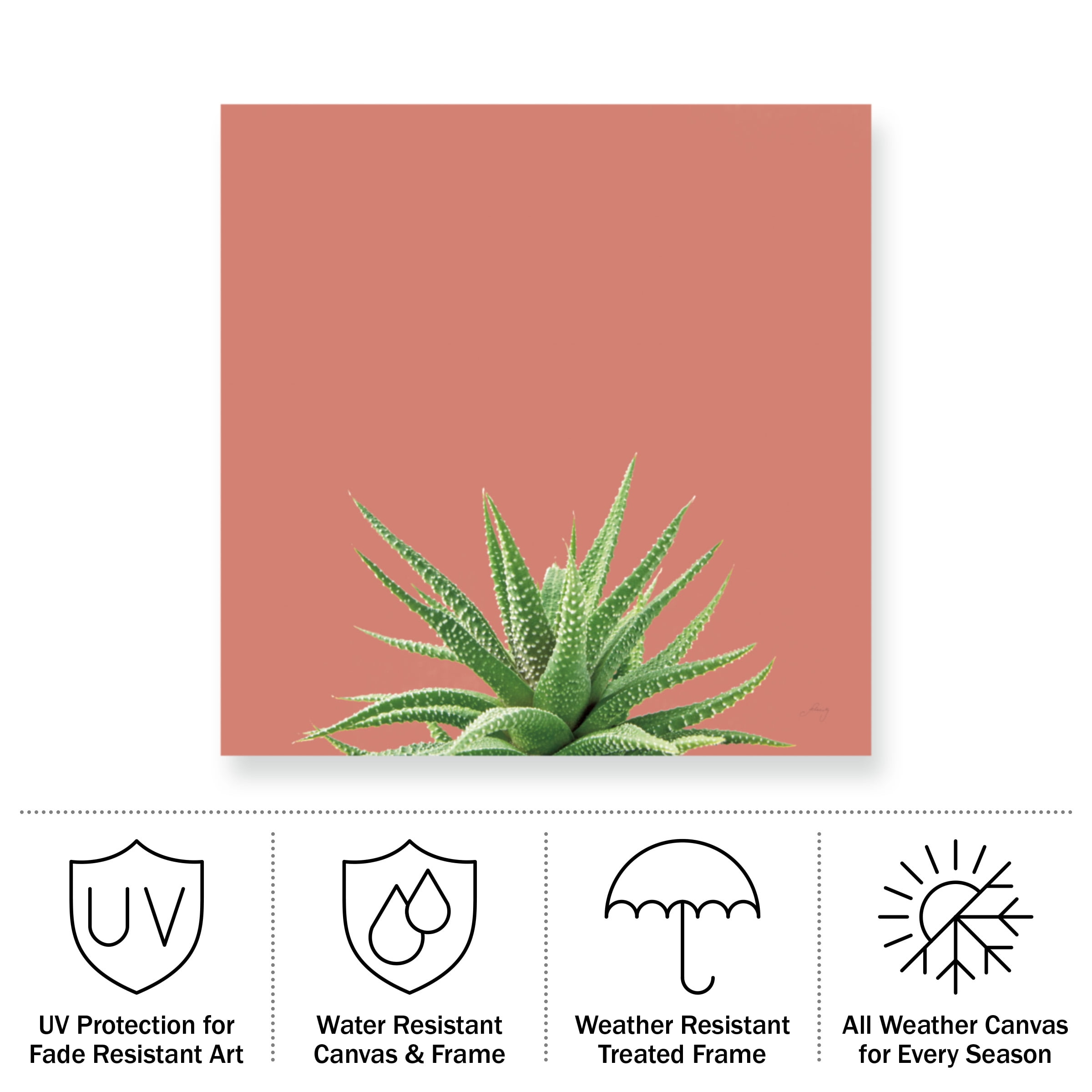 Felicity Bradley 'Succulent Simplicity I Coral' Outdoor All-Weather Wall Decor