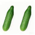 thumbnail image 1 of Conjunto de bolas de estrés Fidget sensorial de aumento lento, 1 of 7