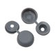 thumbnail image 1 of 20Pcs Vehículo Tapa Abatible Bisagra Plegable de Tornillo Gris 19mm 4mm, 1 of 1