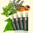 USDA Organic Lip Balm 4Pack by Earth's Daughter Eucalyptus Mint Flavor, Beeswax, Coconut Oil