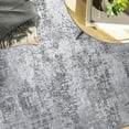 thumbnail image 3 of BERTHMEER 4'x6' Area Rugs for Kitchen Bathroom Living Room Entryway Laundry Abstract Washable Non Slip Modern Contemporary Throw Rugs Carpets Tapis, Gray, 3 of 9