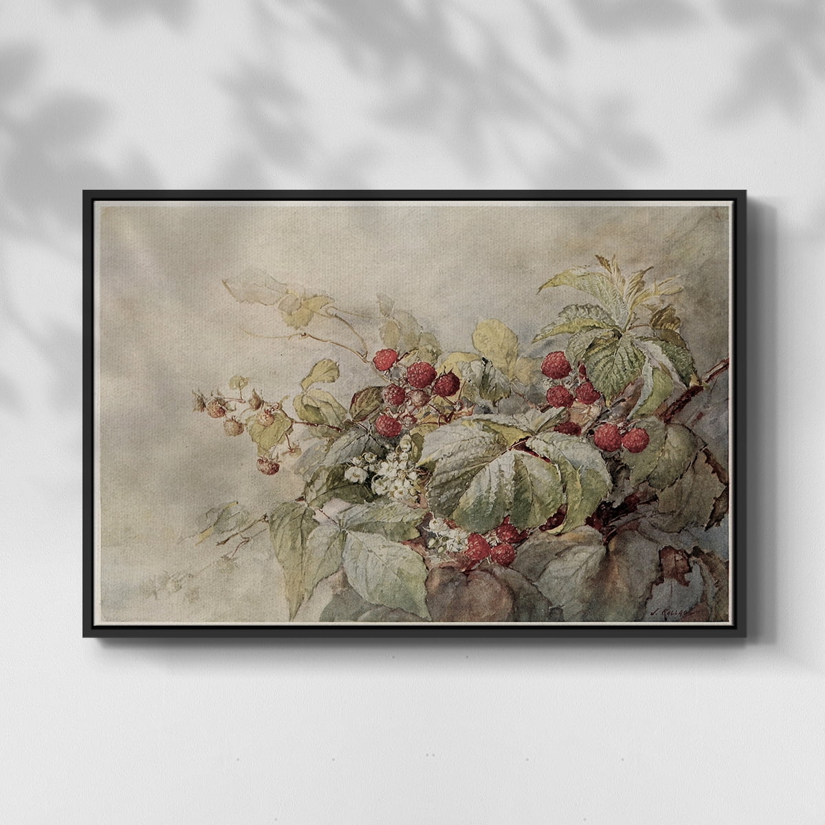 Vintage Botanical Print-V By Wexford Home Framed in Black Wood Gallery Wrapped Canvas 17 in. x 25 in.