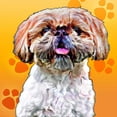 thumbnail image 2 of Curinga, Kim 20x20 Black Ornate Wood Framed with Double Matting Museum Art Print Titled - Pop Dog VIII, 2 of 4