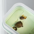thumbnail image 4 of OULII Basking Platforms for Turtles Turtle Holder Mint Green 1Set, 4 of 8