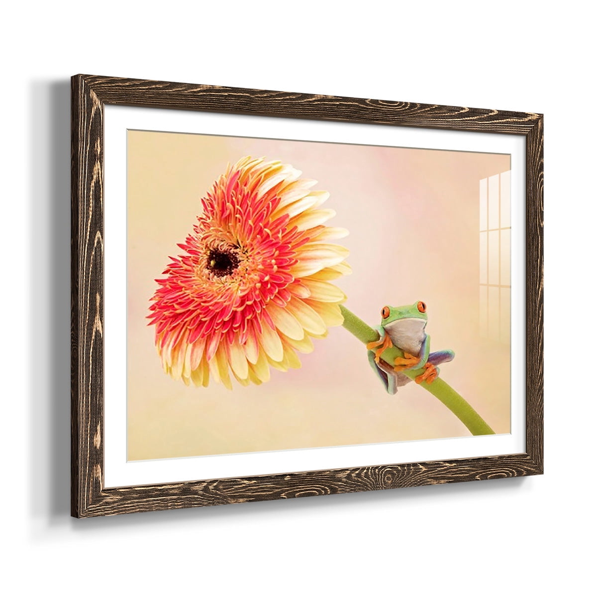 Hanging On IX-Premium Framed Print - Ready to Hang