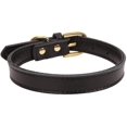 thumbnail image 2 of Aolove Basic Classic Padded Leather Pet Collars For Cats Puppy Small Medium Dogs, 2 of 5