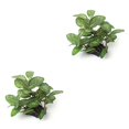 thumbnail image 4 of Decoraciones para Peceras sweethay Plantas de Agua de Plástico Decoración Subacuática CBP068685, 4 of 5