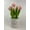 Pink, variant on Valentine Ceramic Potted Tulip Display