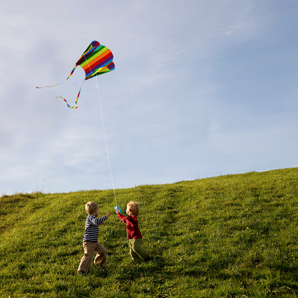 Colorful Parafoil Kite with Long Tail, Easy to Fly Outdoor Kite