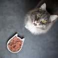 thumbnail image 6 of Purina Pro Plan UT Health Formula Cat Food 3 Flavor (2) Each: Chicken, Ocean Whitefish, Salmon + MerlinsMart Zine | Catnip Toy, 6 of 8