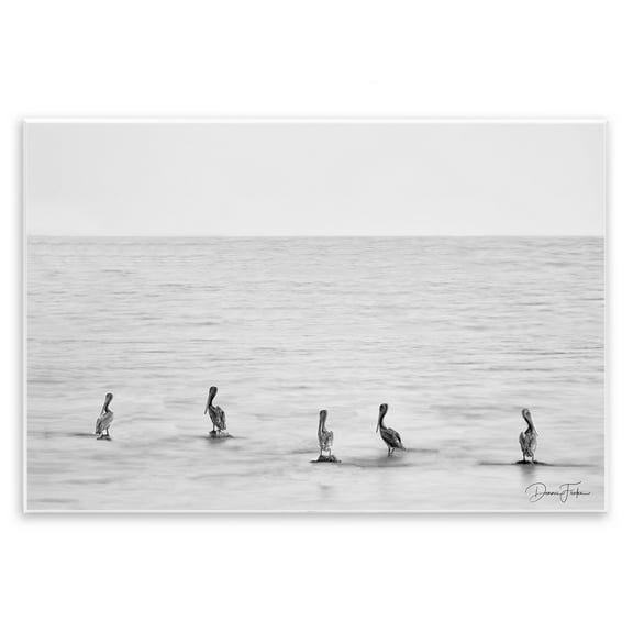 Stupell Industries Pelicans on Shore Landscape Photography Unframed Art Print Wall Art, 15 x 10