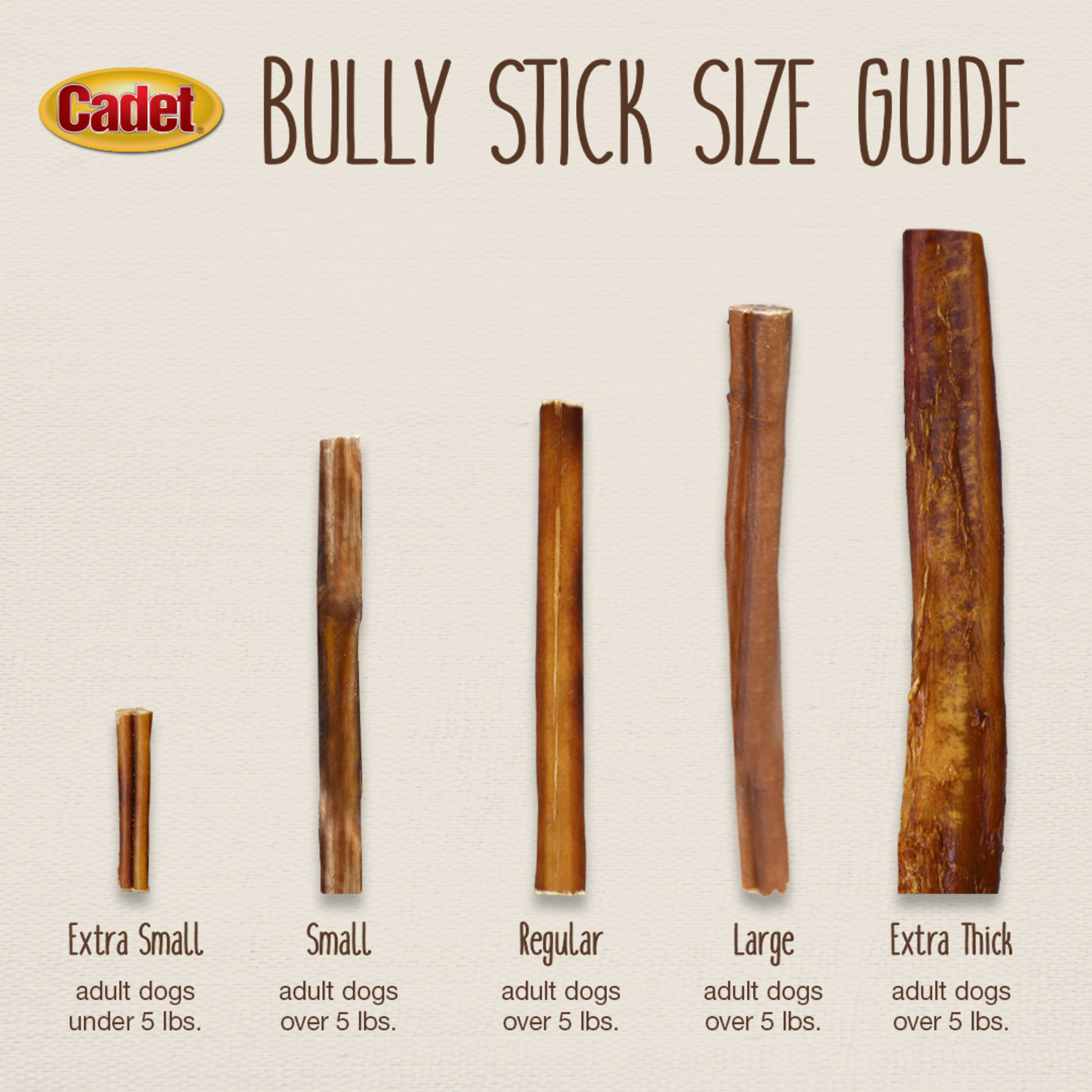 Cadet Bully Stick Dog Chews, Small, 5.2 Ounces photo 5