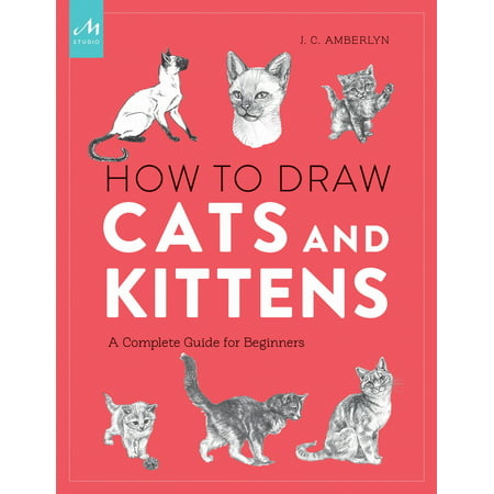 How to Draw Cats and Kittens : A Complete Guide for