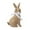 Brown~11, variant on Resin Rabbit Garden Ornament for Outdoor Decor, Hand-Crafted Sculpture for Courtyard or Patio, Realistic Design with Durable Finish, Size 20.6x12.5x8cm