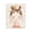 Pink Ballerina Crown, variant on Stupell Industries Cottage Ballerina With Floral Headdress Canvas Art, 16 x 20, by Creative Studio