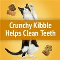 thumbnail image 5 of Purina Friskies Party Mix Cat Treats, Cheese Craze Crunch Snacks, 6 oz. Pouch, 5 of 11