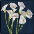 thumbnail image 1 of Cuadro Decorativo - Callas en azul Jr Impresión en canvas, estrechado, 1 of 2
