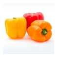 thumbnail image 3 of Mix de pimiento Intebaj arcoiris 3 piezas, 3 of 5