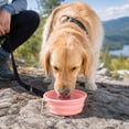 thumbnail image 2 of Dog Bowl Silicone Foldable Portable BPA-Free No Leak Travel Dish for Outdoor Hiking Camping Pets by MPOISVA, 2 of 7