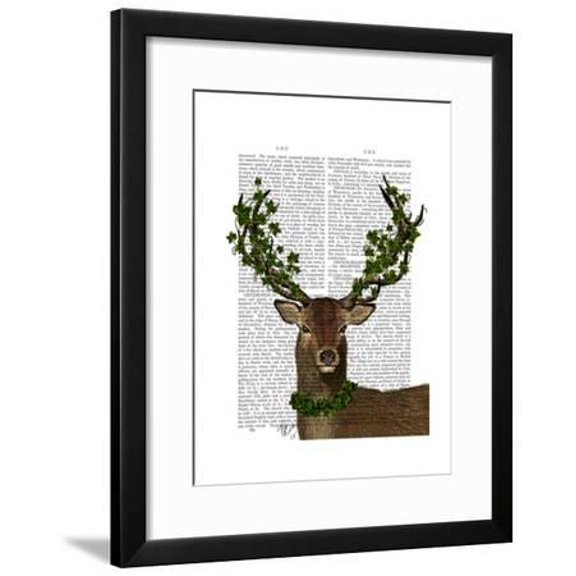 Green King, Animals Framed Art Print Wall Art by Fab Funky Sold by Art.Com