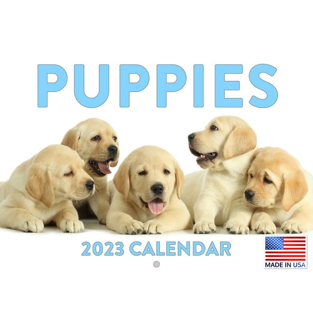 Puppy Calendar 2023 Monthly Wall Hanging Calendars Puppies Cute Funny