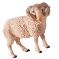 thumbnail image 2 of 1 Pce Modèle de Faune Simulée Décor Modèle de Mouton Réaliste Jouet Modèle d'Animal Réaliste Artisanat Éducatif Modèle de Mouton Jouet pour Enfants Maison École Style Mouton à Corne Courbée, 2 of 8
