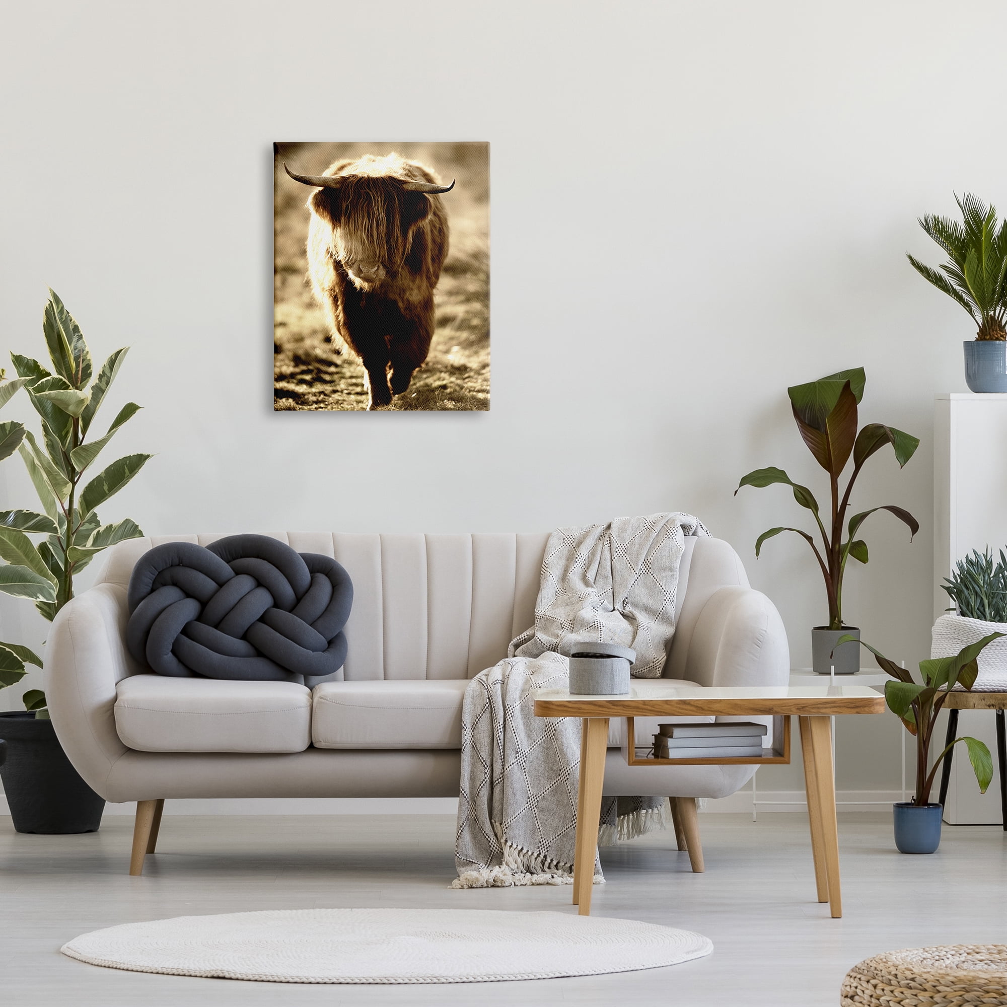 Stupell Industries Sunlit Highland Longhorn Cattle Wandering Rural Countryside Photograph Gallery Wrapped Canvas Print Wall Art, Design by James Dobson