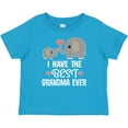 thumbnail image 3 of Inktastic Grandchild Best Grandma Ever Boys or Girls Baby T-Shirt, 3 of 5