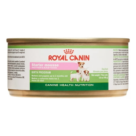 Royal Canin Canine Starter Mousse Mother & Babydog Wet Dog Food, 5.8