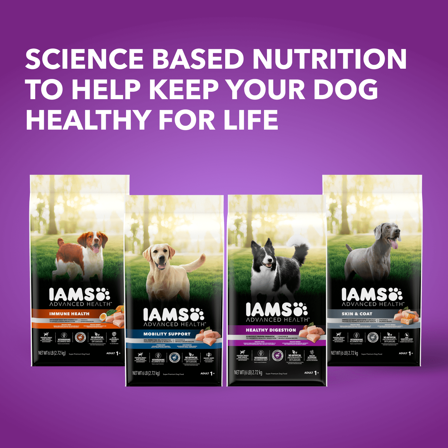Iams Advanced Health Skin & Coat Chicken & Salmon Adult Dry Dog Food 10kg