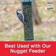 thumbnail image 5 of C&S Peanut Suet Nuggets, No melt - No waste, 27 oz Resealable Bag,  Wild Bird Food, 5 of 14