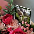 thumbnail image 3 of 3drose, Happy Easter - Easter, Animal, Ewe, Love, Fun, Love, Cute, 6 Greeting Cards with Envelopes, 3 of 7