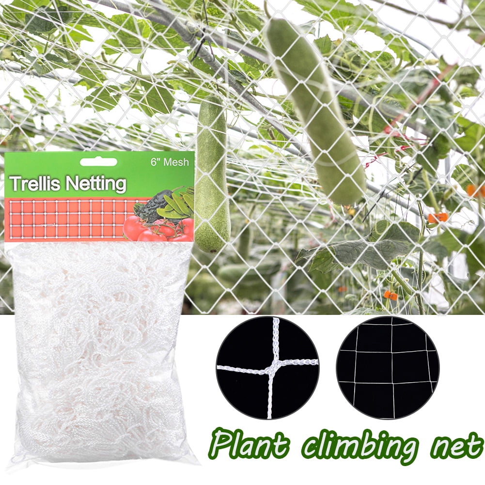 Details about   Netting Mesh Garden Trellis Climbing Plant Support Bean Pea Fruit Heavy Duty Net