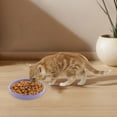 thumbnail image 3 of Slow Food Training Mat for Cats and Puppies Silicone Lick Mats Slow Feeding Dish Distracted Eating Bowl Pet Grooming Plate, 3 of 4