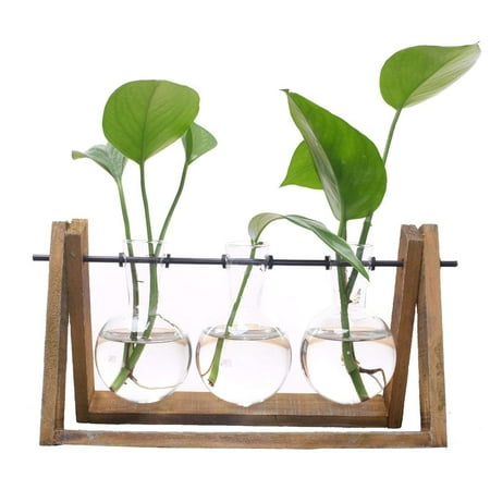 Meigar Plant Terrarium with Wooden Stand Glass Vase Holder for Home Decoration,Scindapsus Container (3