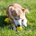 thumbnail image 2 of Pelotas Grandes de Goma LISAPRO Verde y Amarillo Resistentes a Mordeduras para Mascotas, 2 of 8