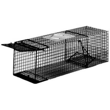 Kness Kage-All Small Raccoon Trap (Best Raccoon Bait For Dog Proof Traps)