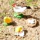thumbnail image 5 of juego de crecimiento de insectos para niños,ciclo de crecimiento animal material didáctico en el aula,niños imaginación cognitiva animal gallina pollito juguetes,naturaleza insectos ciclos, 5 of 8