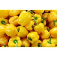 thumbnail image 5 of 100 Seeds Golden YELLOW BELL PEPPER California Wonder Capsicum Vegetable Seeds, 5 of 9