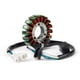 thumbnail image 1 of Bobina de estator generador para Yamaha TTR250 1999-2006 2000 2005, 1 of 6
