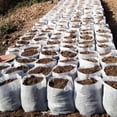 thumbnail image 2 of 100 Uds. Bolsas para plantas tela no tejida biodegradable para plantas de tomate y flores de patata Likrtyny Para estrenar, 2 of 6